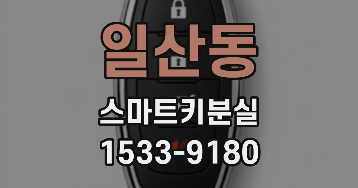 일산동 스마트키분실