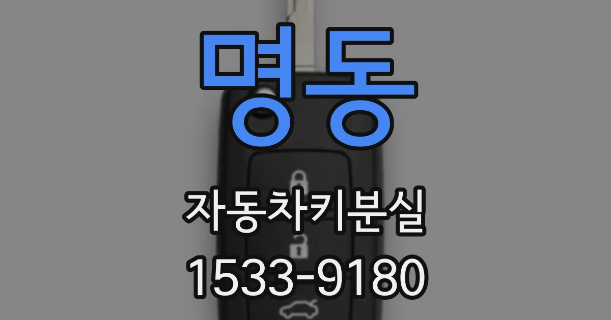 명동 자동차키분실