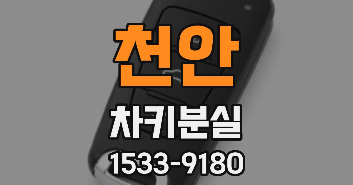 천안 차키분실