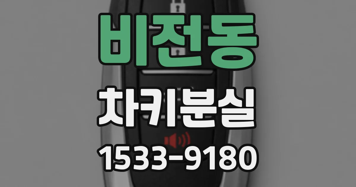 비전동 차키분실