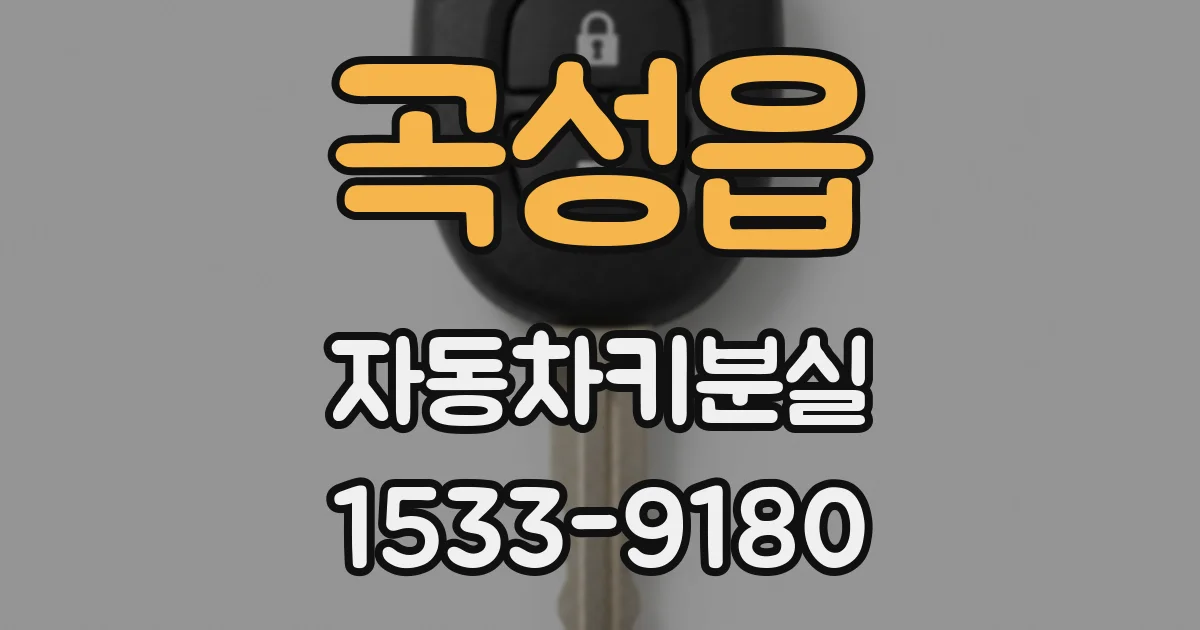 곡성읍 자동차키분실