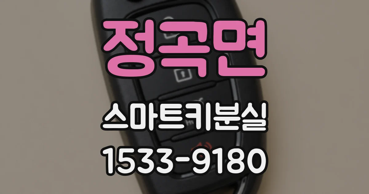 정곡면 스마트키분실