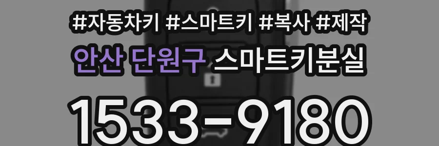 안산 단원구 스마트키분실