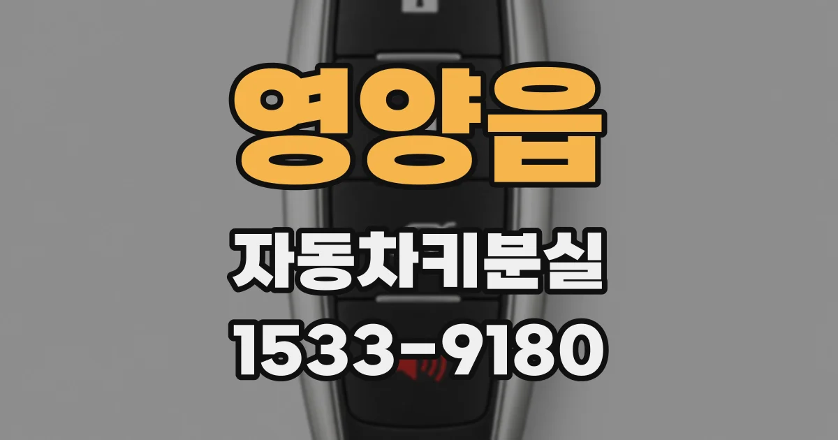 영양읍 자동차키분실