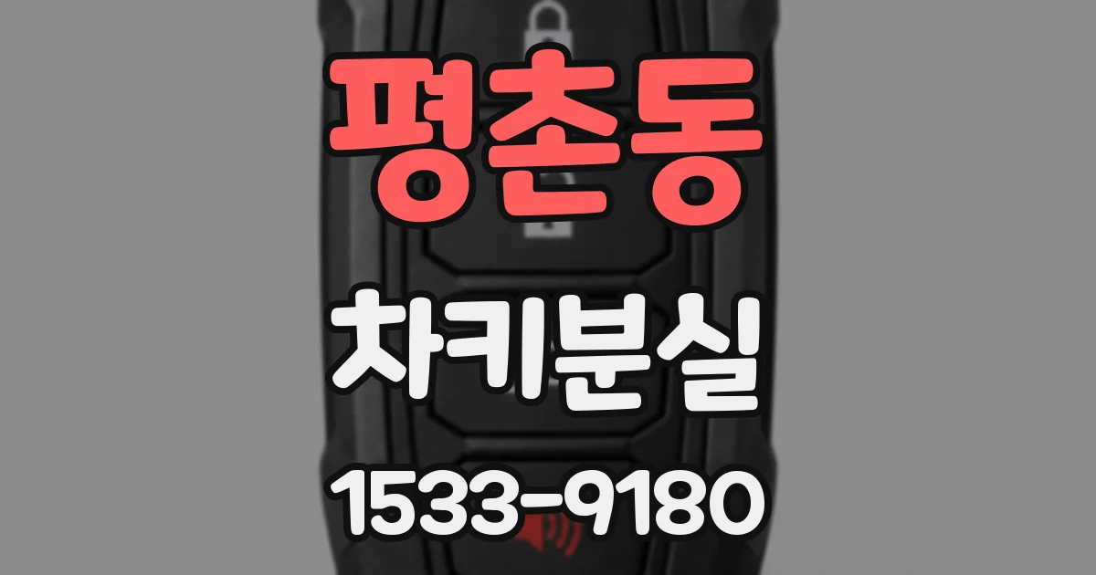 평촌동 차키분실