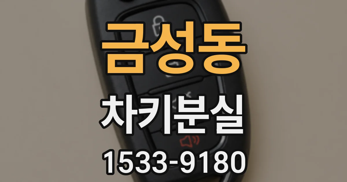 금성동 차키분실