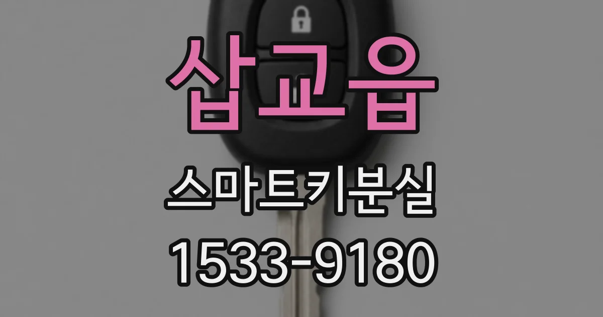 삽교읍 스마트키분실