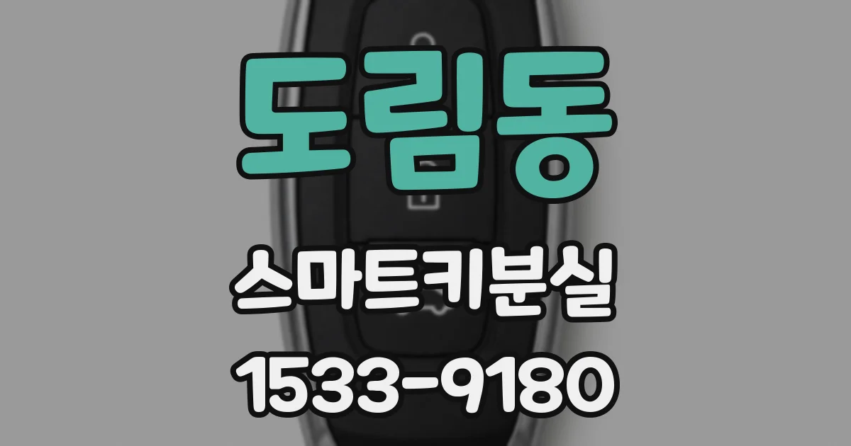 도림동 스마트키분실