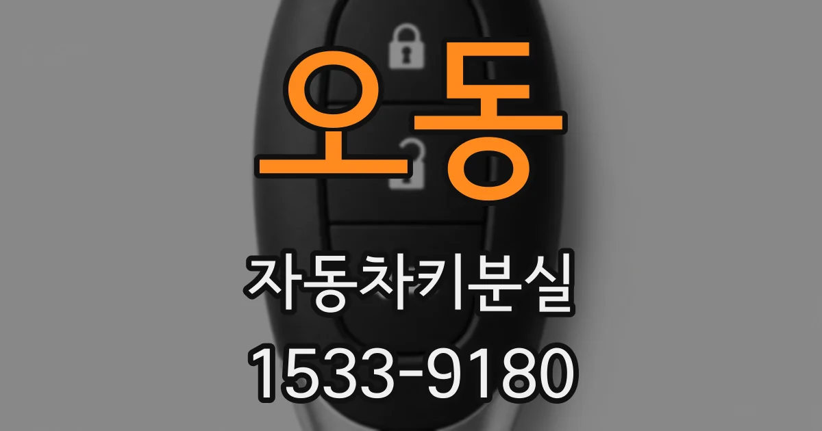 오동 자동차키분실