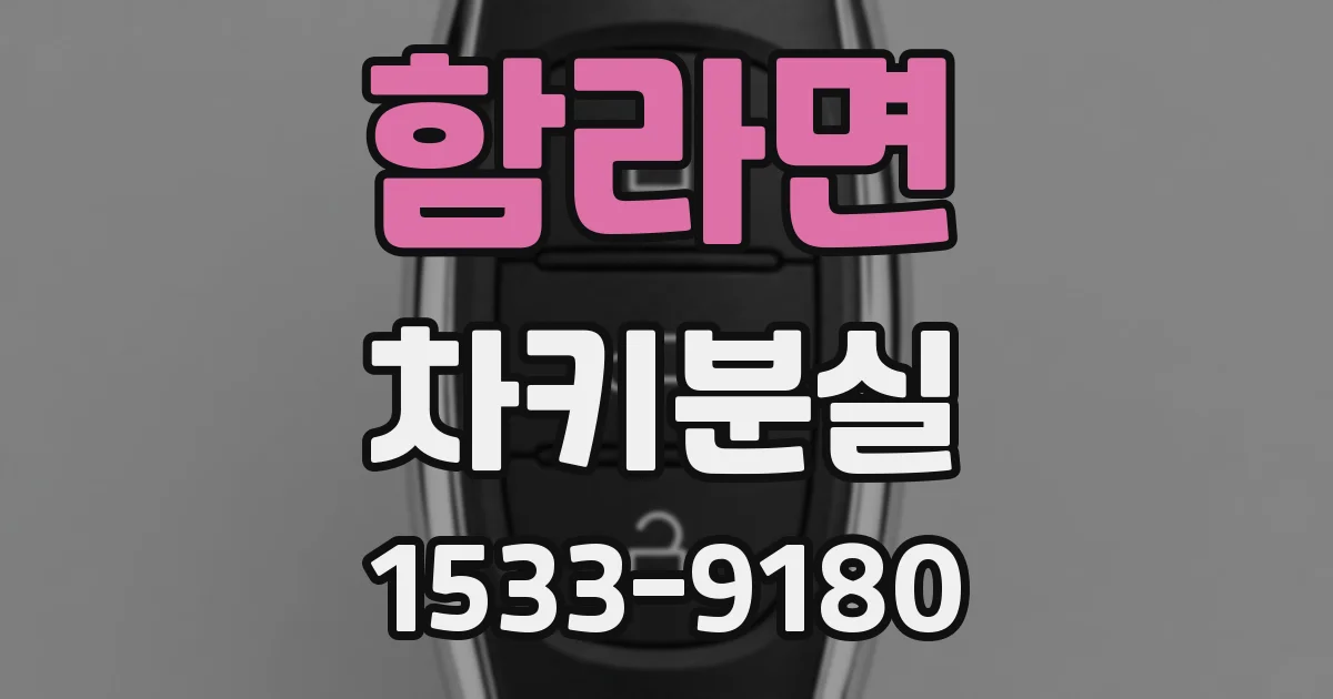 함라면 차키분실