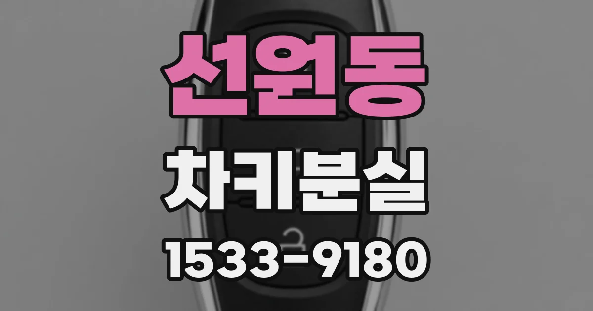 선원동 차키분실