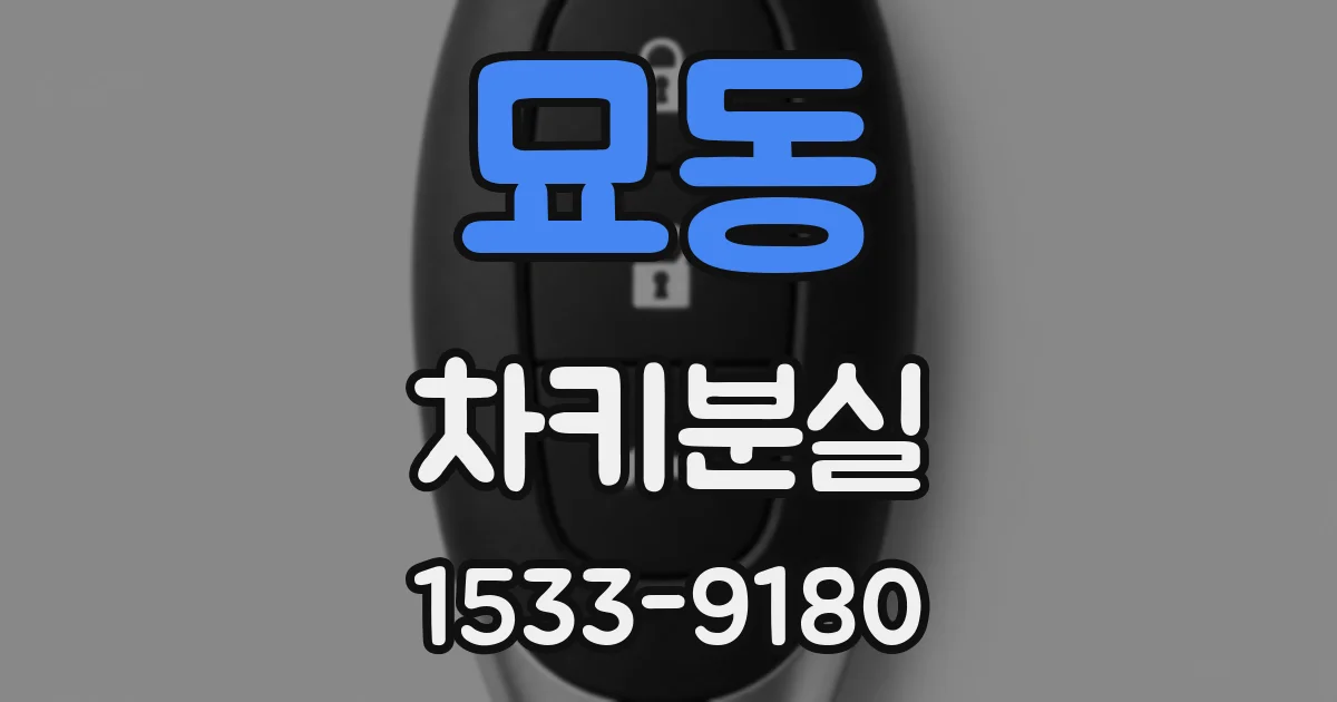 묘동 차키분실