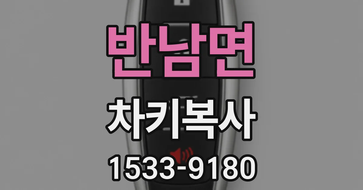 반남면 차키복사
