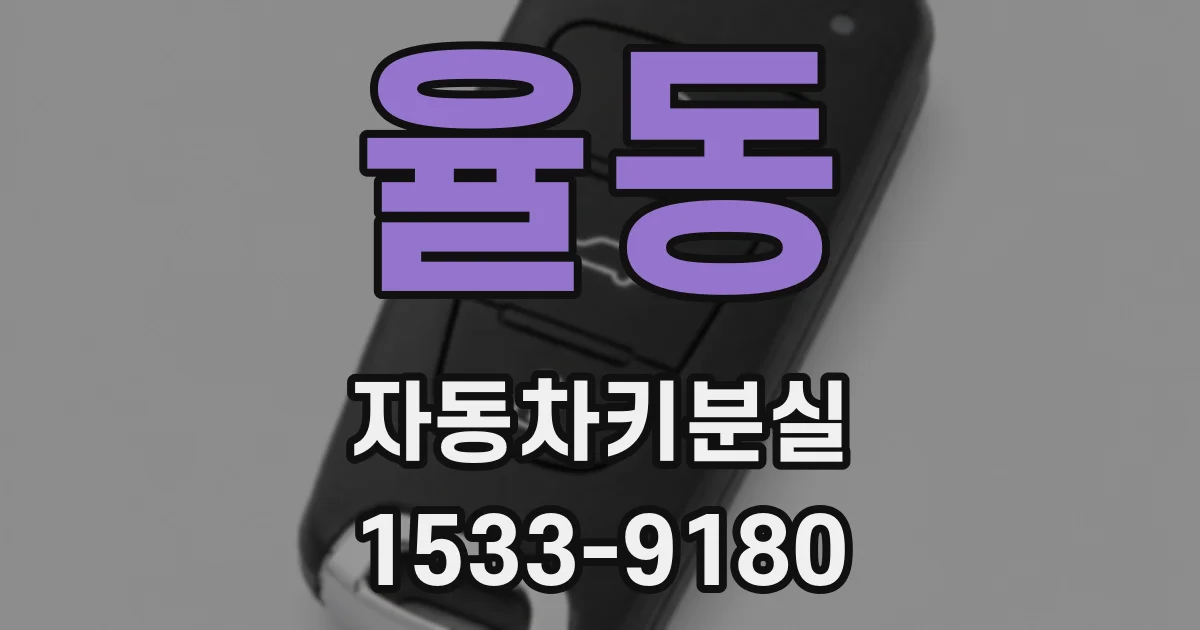 율동 자동차키분실