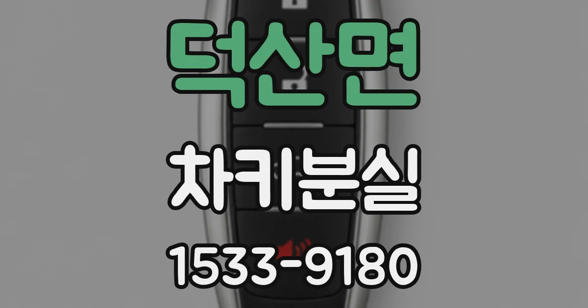 덕산면 차키분실