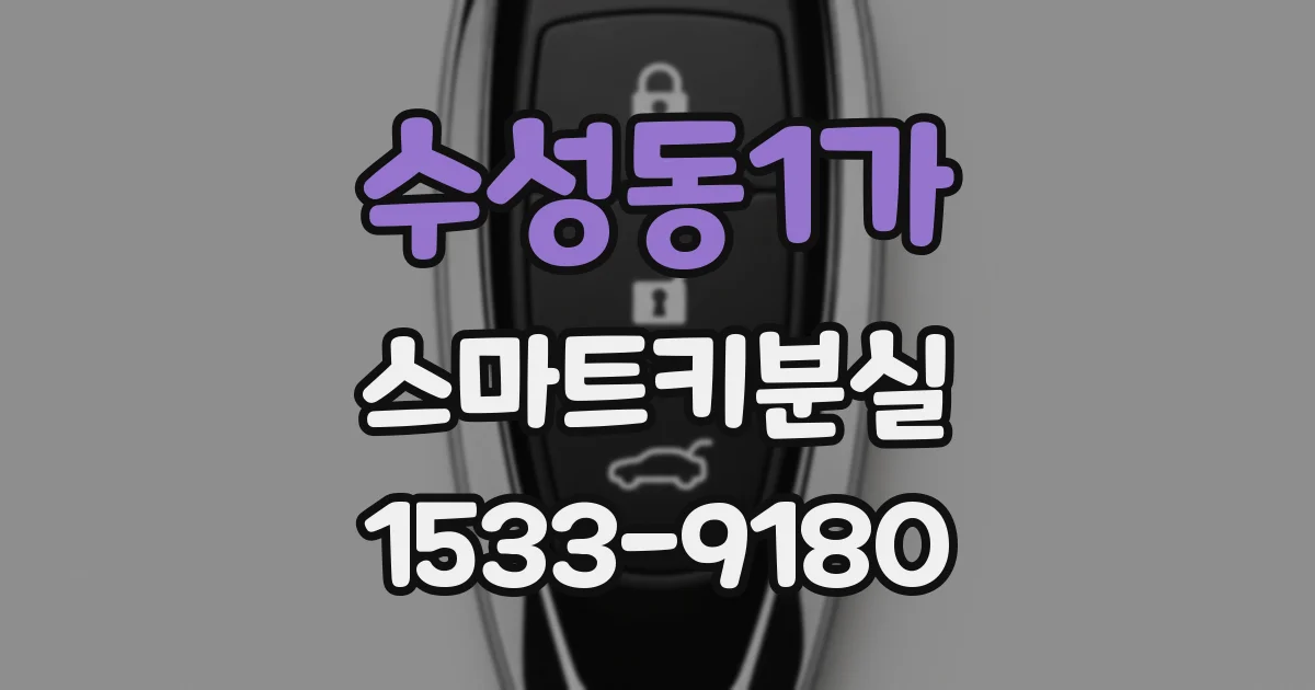 수성동1가 스마트키분실