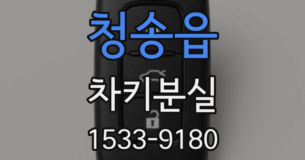 청송읍 차키분실