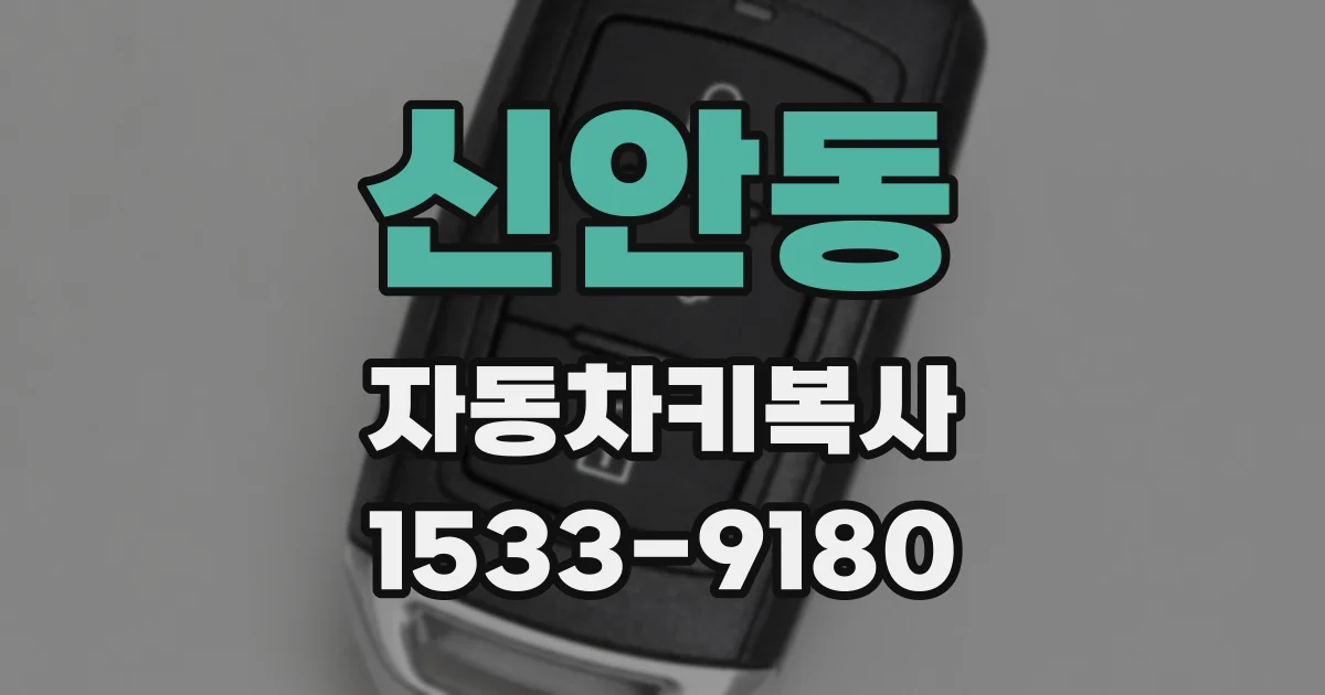 신안동 자동차키복사