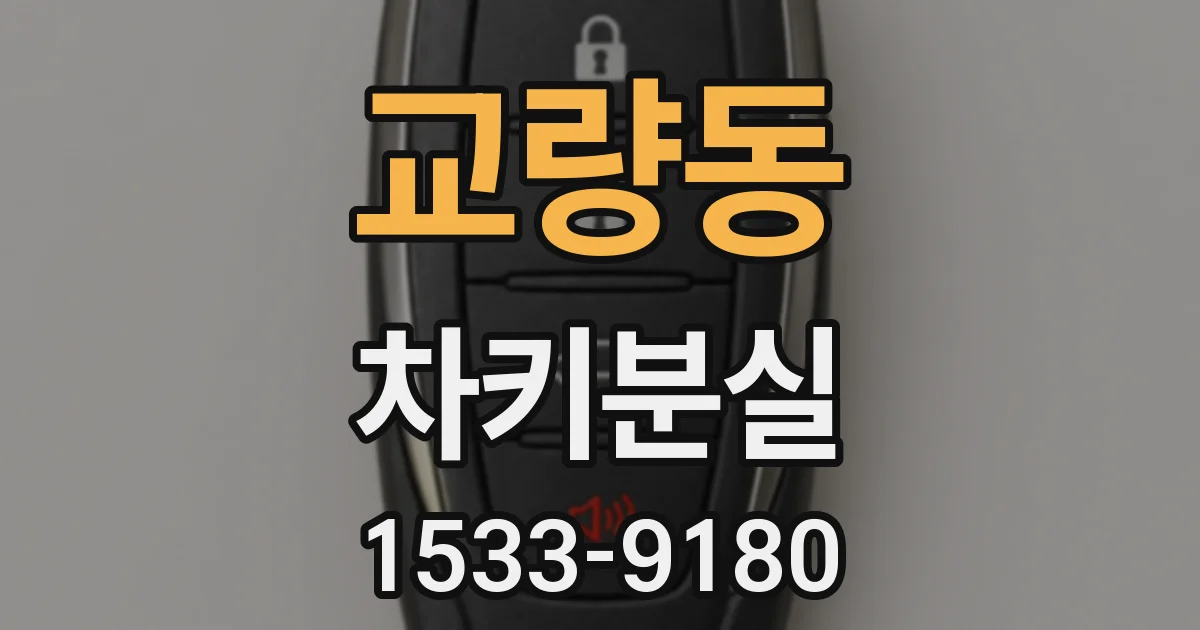 교량동 차키분실
