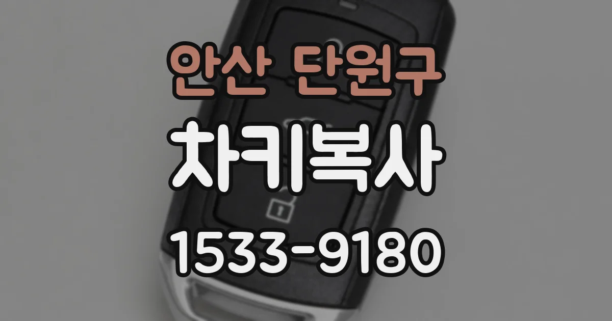 안산 단원구 차키복사