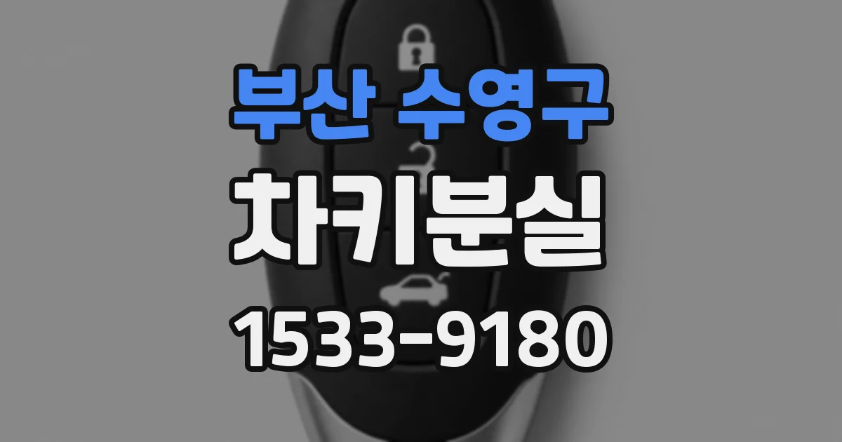부산 수영구 차키분실
