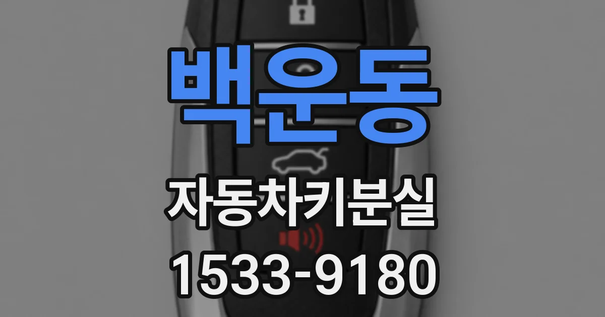 백운동 자동차키분실