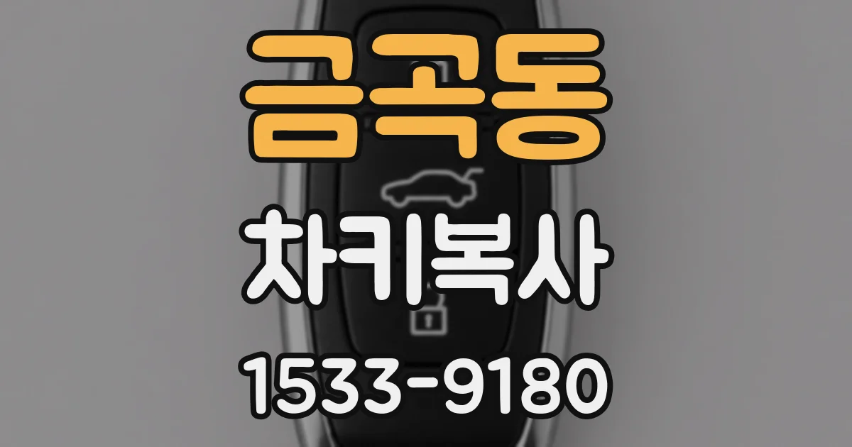 금곡동 차키복사