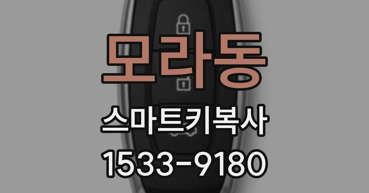 모라동 스마트키복사