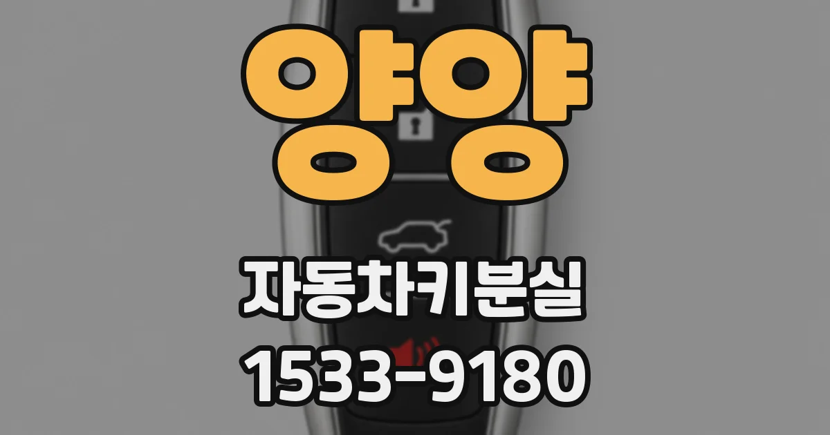 양양 자동차키분실