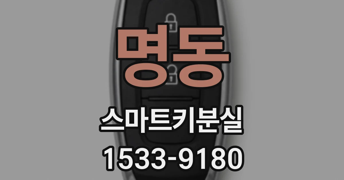 명동 스마트키분실