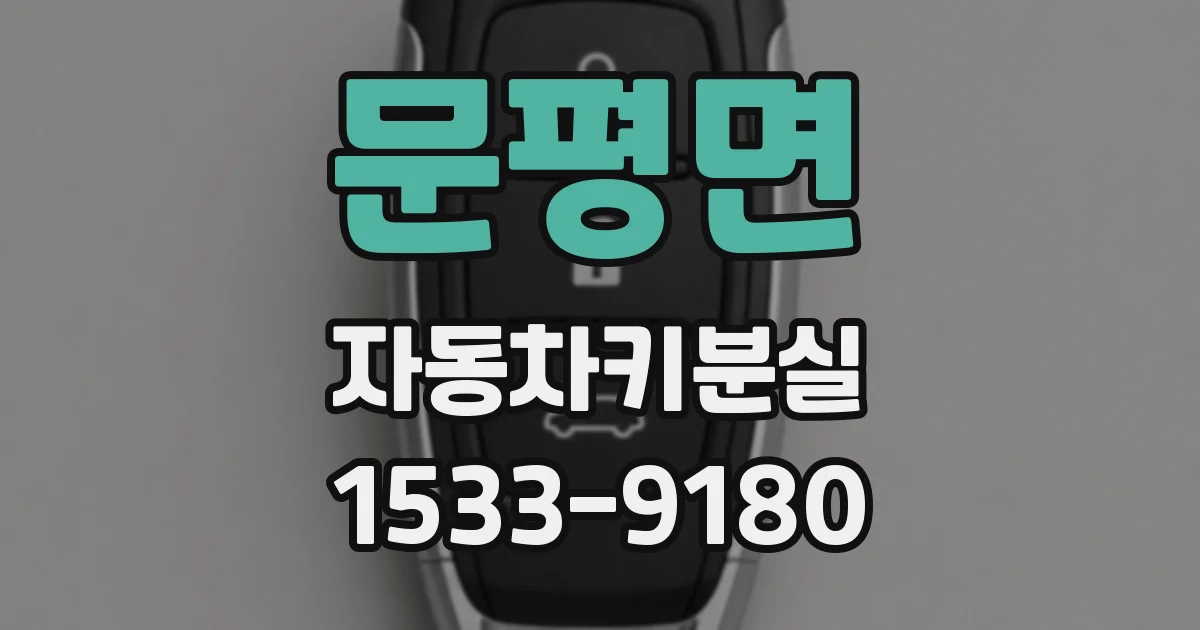 문평면 자동차키분실