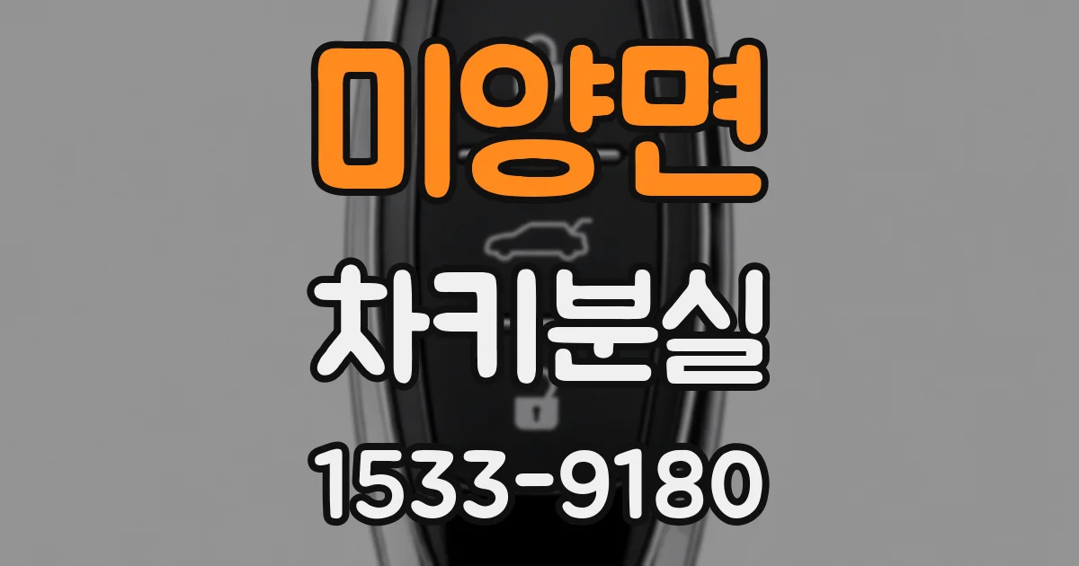 미양면 차키분실