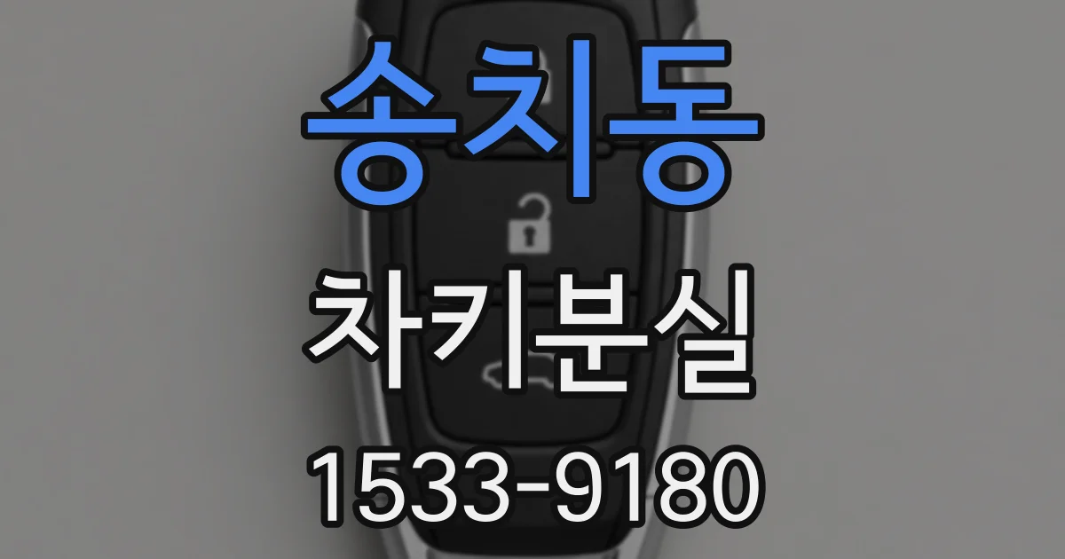 송치동 차키분실