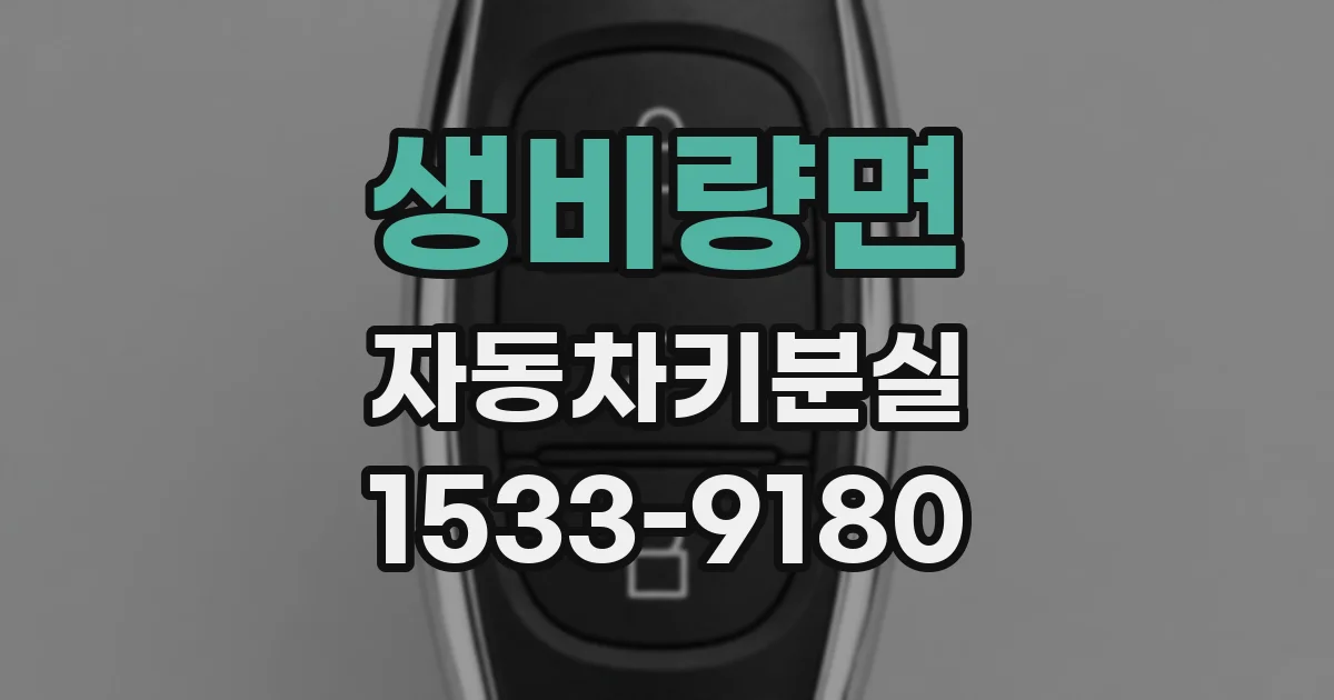 생비량면 자동차키분실