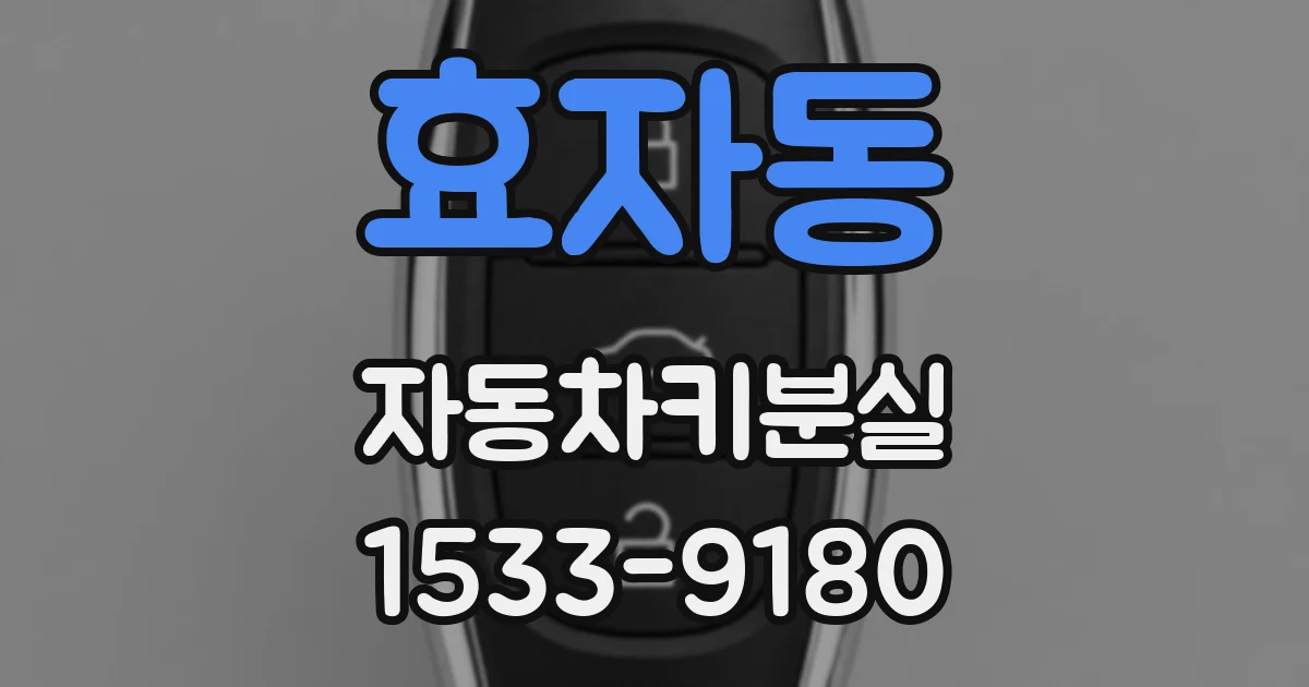 효자동 자동차키분실