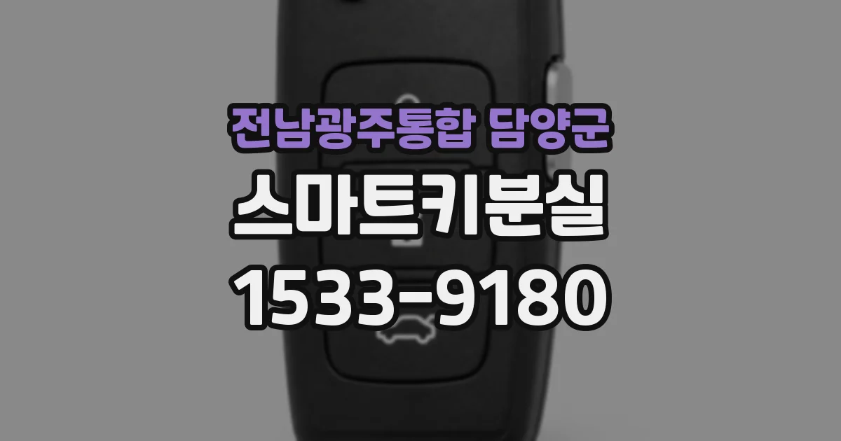 전남광주통합 담양군 스마트키분실