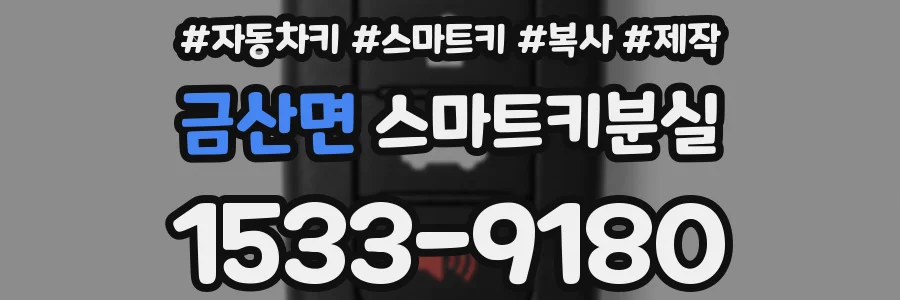 금산면 스마트키분실