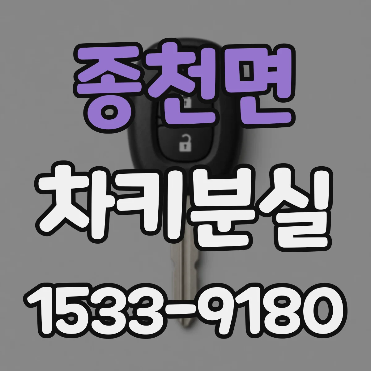 종천면 차키분실