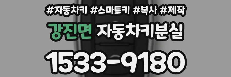 강진면 자동차키분실