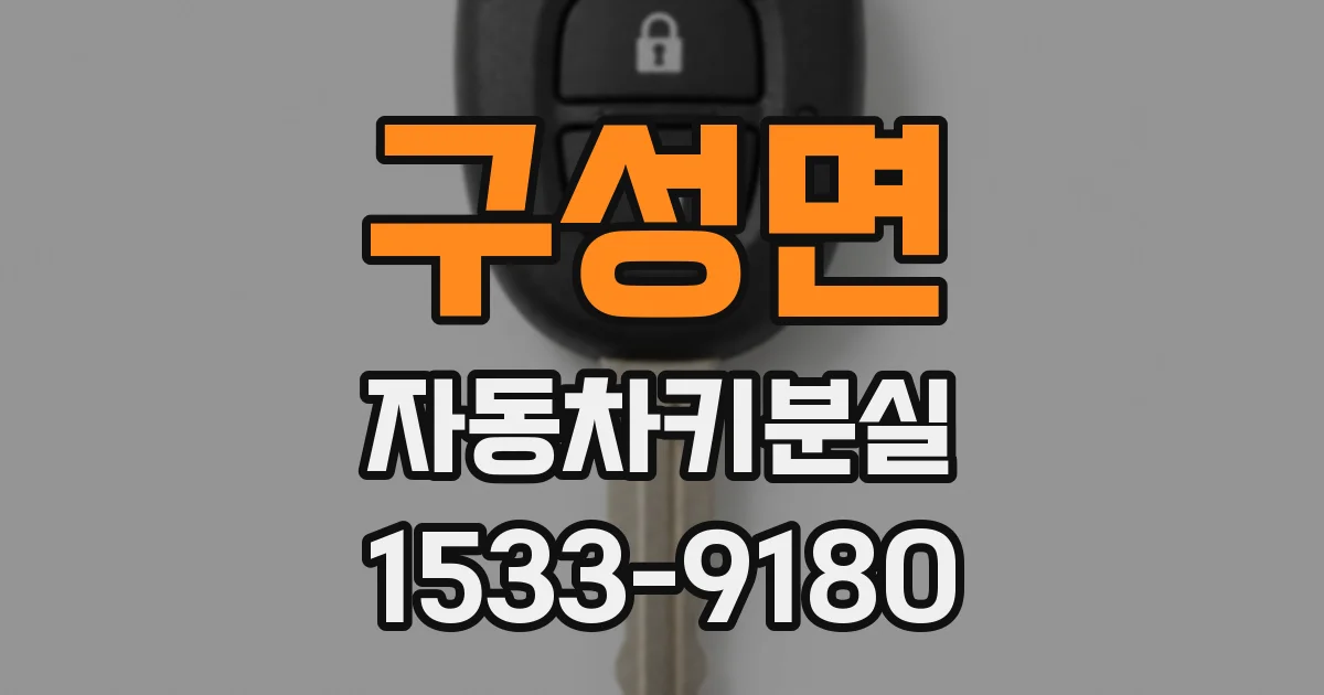 구성면 자동차키분실