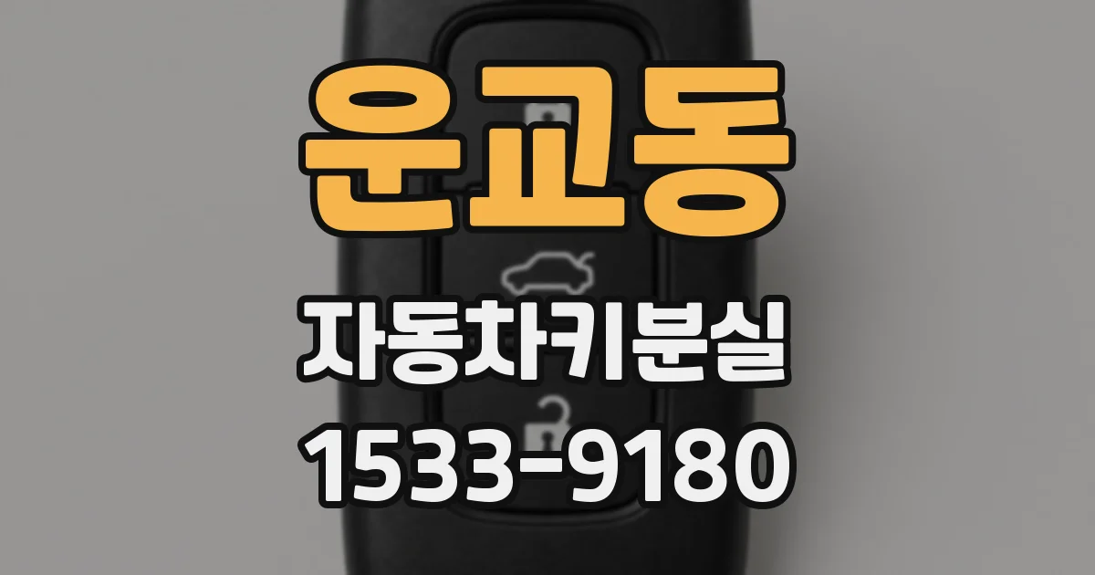 운교동 자동차키분실
