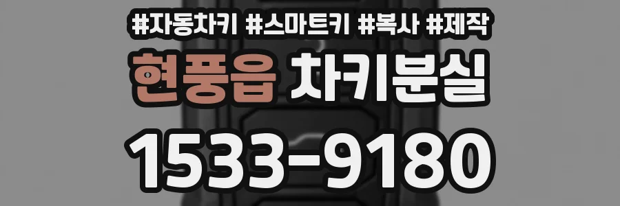 현풍읍 차키분실