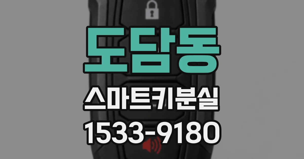 도담동 스마트키분실