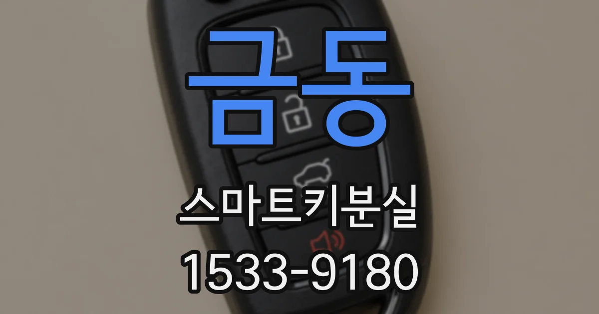 금동 스마트키분실