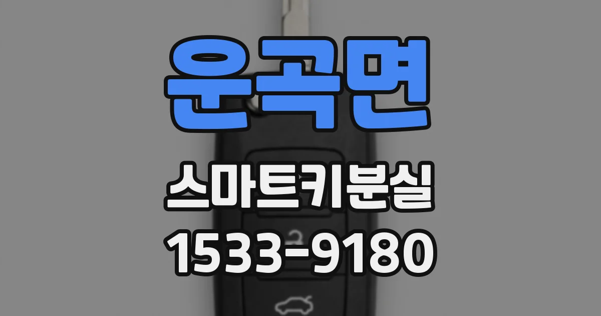운곡면 스마트키분실