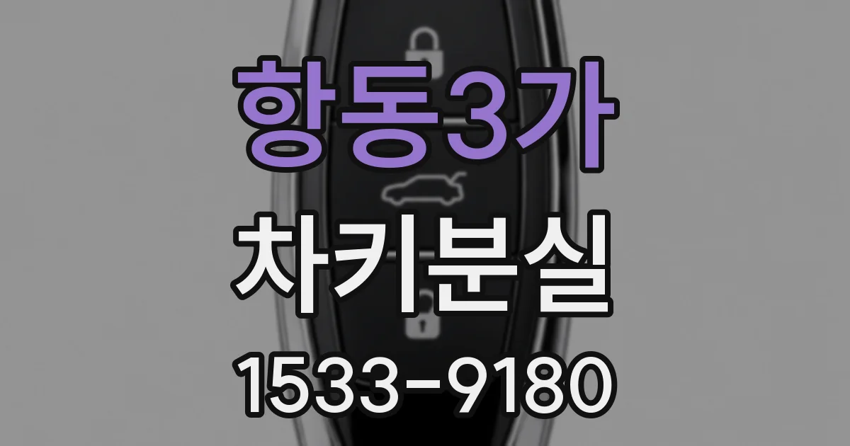 항동3가 차키분실