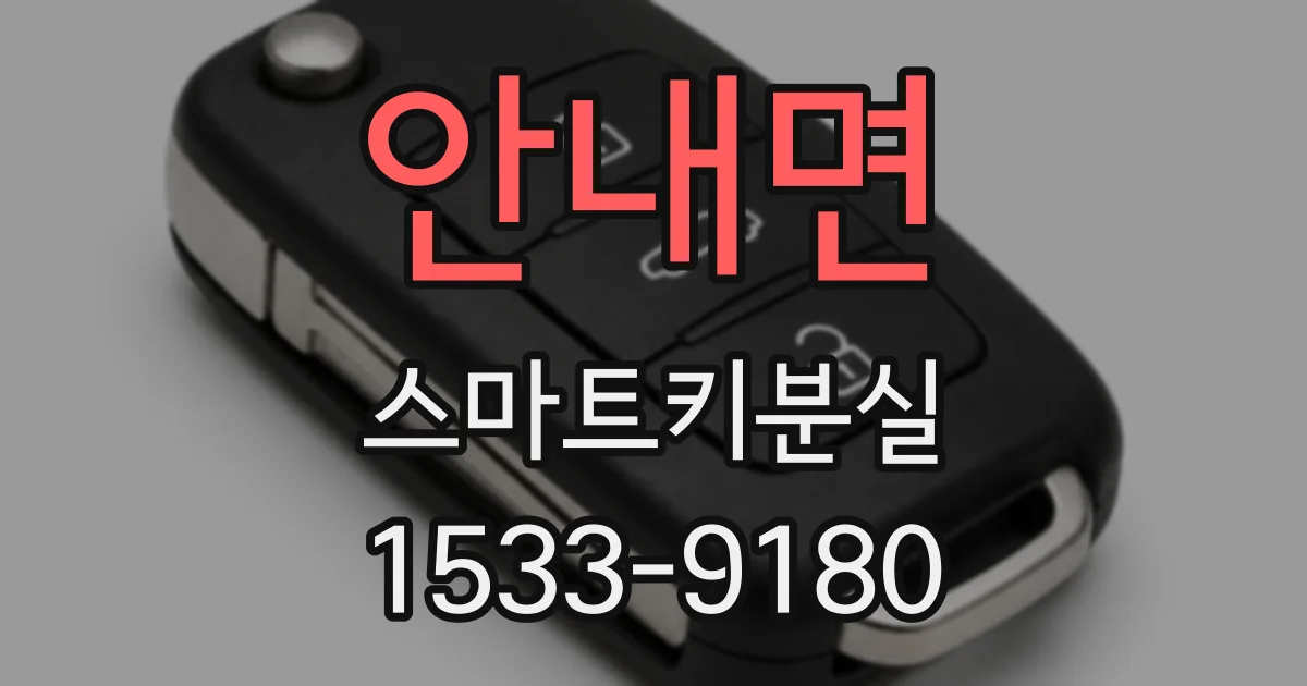 안내면 스마트키분실