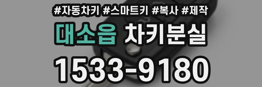 대소읍 차키분실