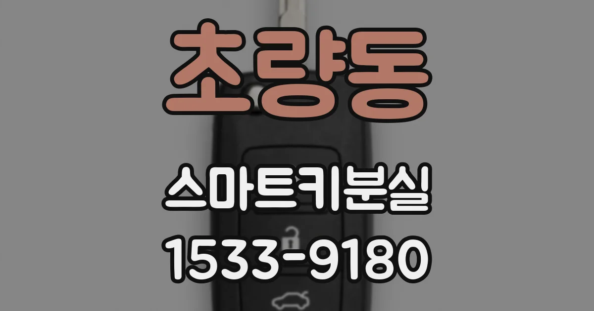 초량동 스마트키분실