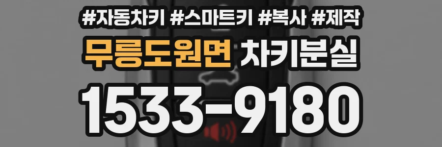 무릉도원면 차키분실